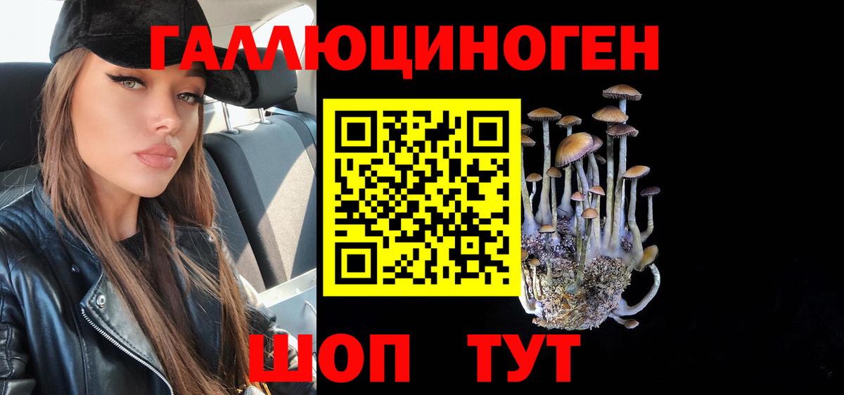 Усть-Илимск  Псилоцибиновые грибы прущие грибы  Вход с VPN  Галлюциногенные грибы Psilocybine cubensis 